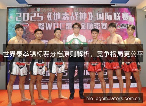 世界泰拳锦标赛分档原则解析，竞争格局更公平